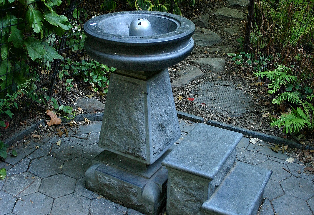 The History of NYC's Drinking Fountains; Pig out on Donuts While