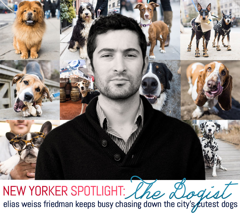 elias weiss friedman, the dogist, the dogist tumblr