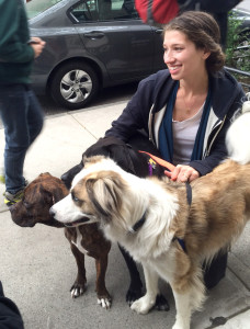 sarah brasky foster dogs nyc