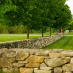 Janice Parker Landscape Architects, florishing gardens, Modern Barn House, apple orchard, infinity pool, wooden clad, Malus Sargentii, Connecticut, old farm
