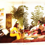 apartment life magazine