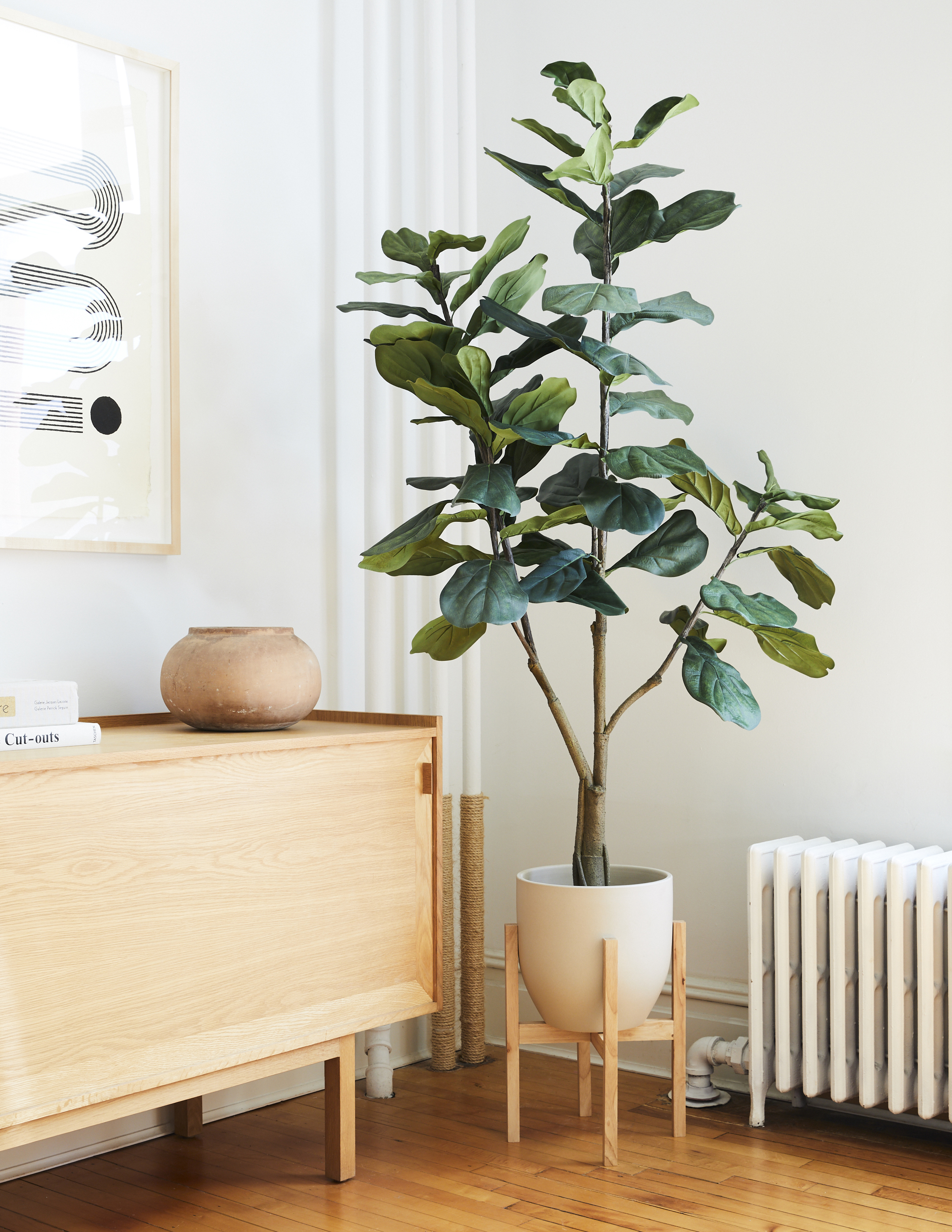 Fiddle Leaf Fig Plant, Jute Pot