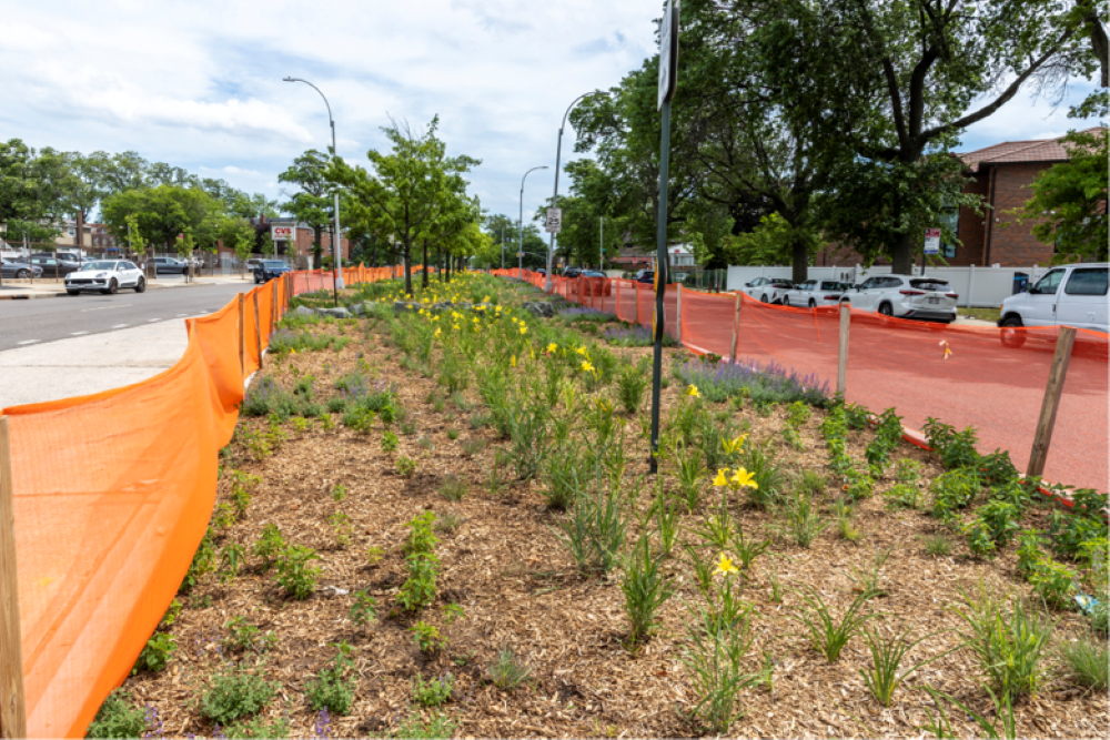Three Queens medians to become green ‘sponges’ to help curb flooding