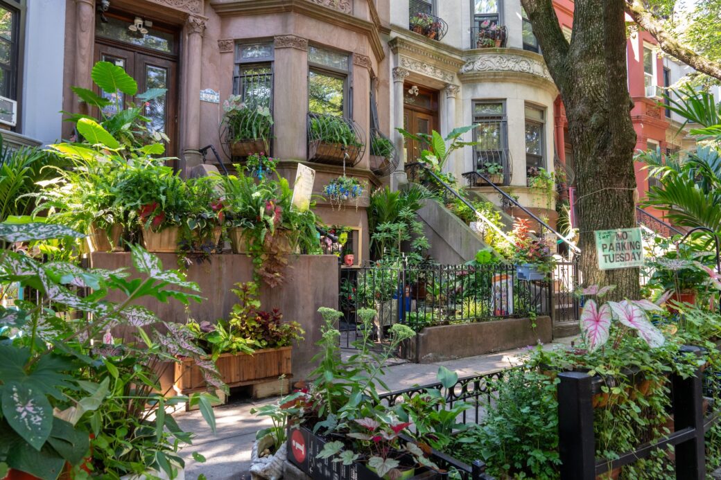 The greenest block in Brooklyn is in Crown Heights again