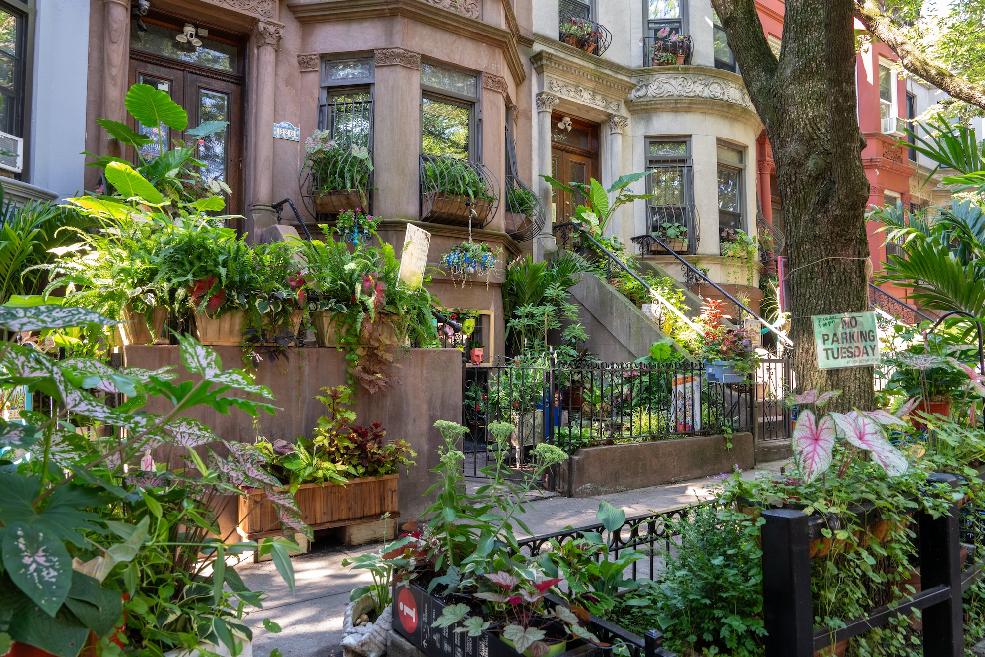 The greenest block in Brooklyn is in Crown Heights again