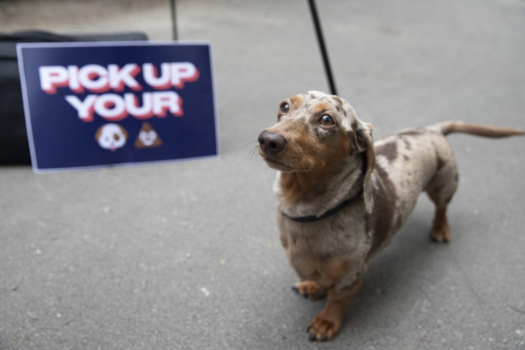 NYC Council passes bills to curb and compost dog waste